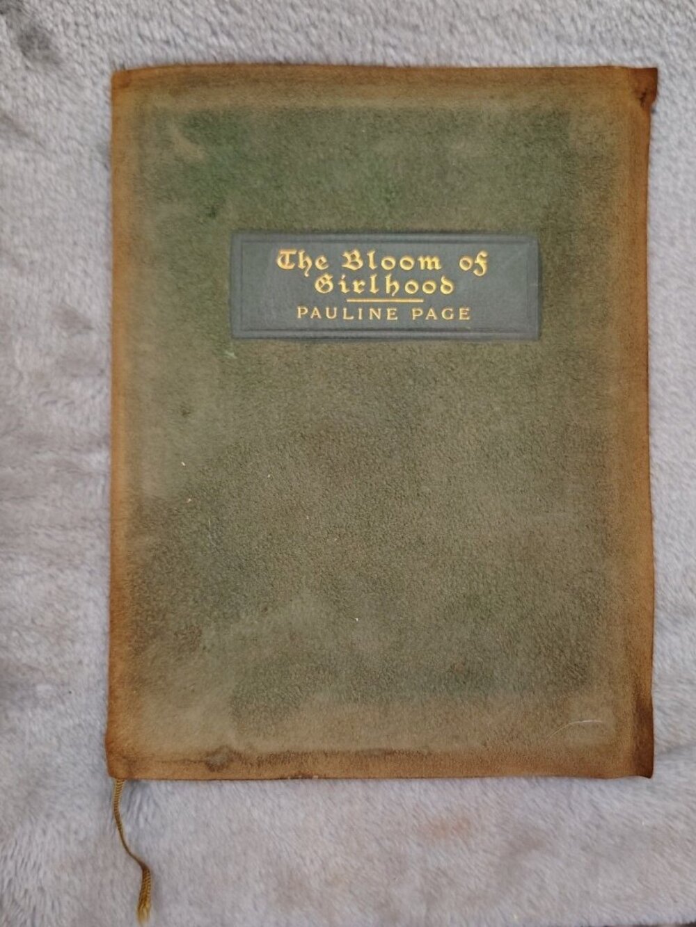 Pauline Page The Bloom of Girlhood 1905 Green Sueded Leather